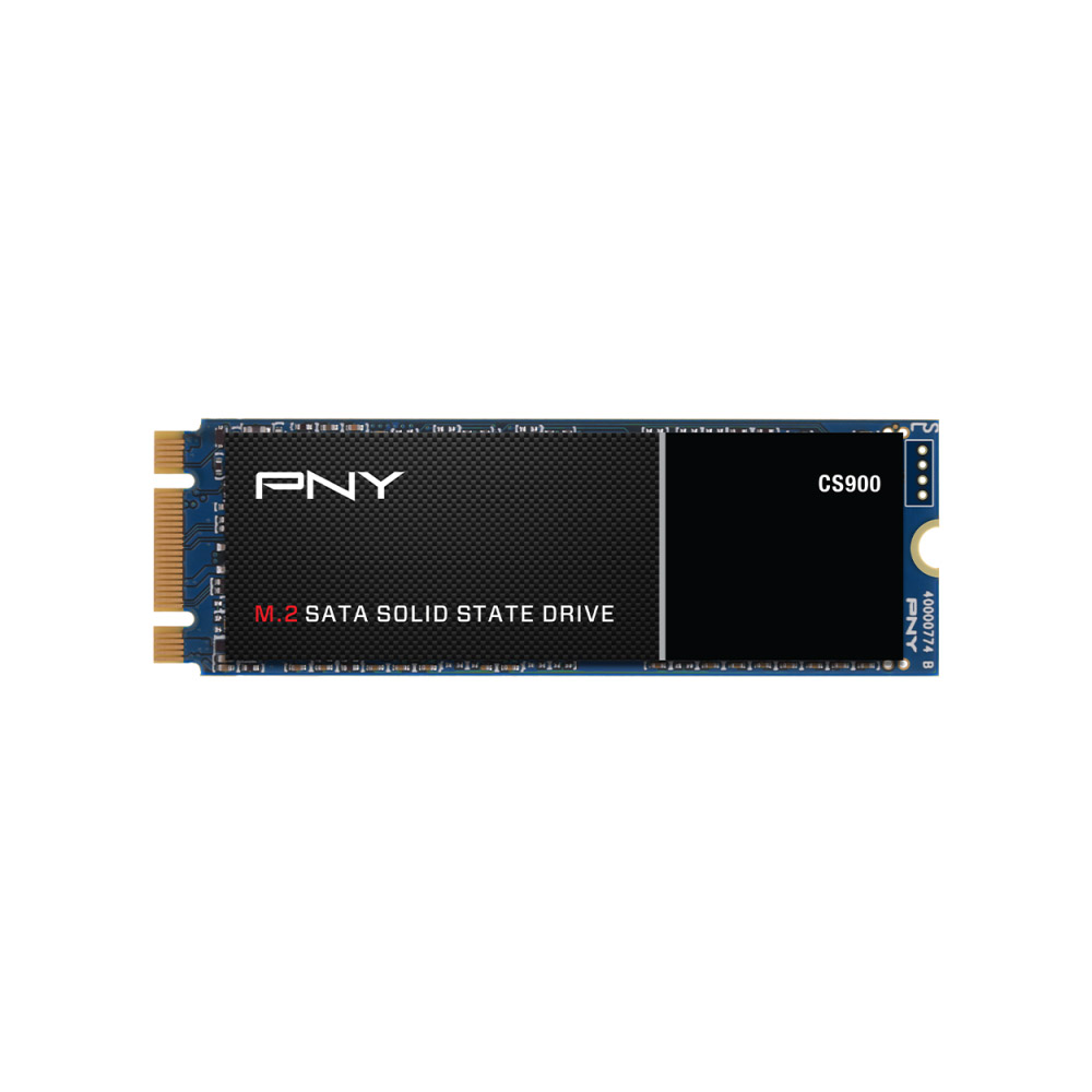 Hard Disk SSD 250GB PNY CS900 M.2 2280 Lettura 535MB/s Scrittura 500MB/s 3D Flash Memory